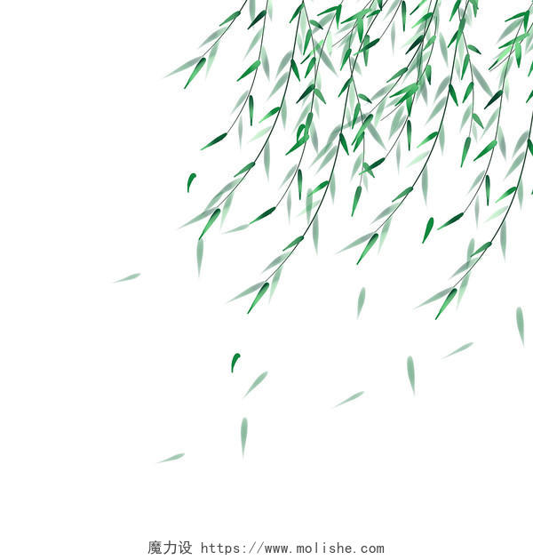 绿色卡通手绘春天春分春季柳叶柳树元素PNG素材雨水节气元素